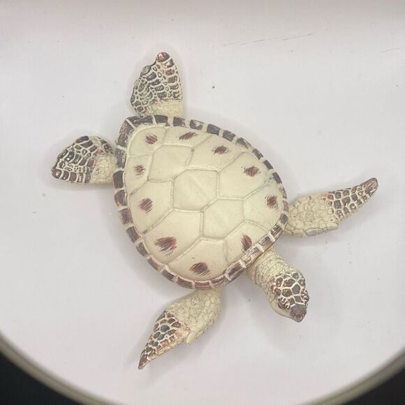 Ceramic Sea Turtle Trinket Box Cream White 6x6 Home Decor Beachy Vibes - Picture 4 of 9